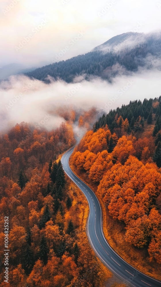 Poster A road with trees on both sides and a cloudy sky in the background