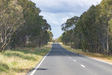 Naklejka premium Scenic Highway Surrounded by Lush Greenery and Trees in Australia