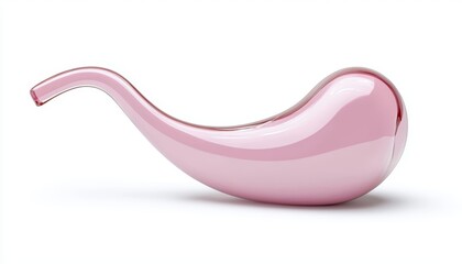 A 3D model of a human stomach isolated on a white background, showing the organ's smooth, curved shape and anatomical features.