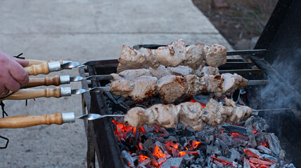 cooking meat on coals. Barbecue with firewood