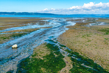 Beach Park Dash Point 3