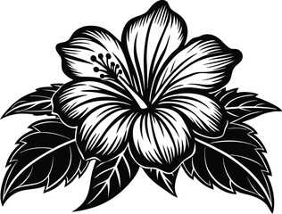 Black and White Hibiscus Flower - Detailed Botanical Engraving