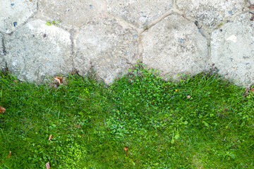 Aerial view of a stone pathway merging with vibrant green grass, showcasing nature's textures and colors. Ideal for landscaping and outdoor design themes.