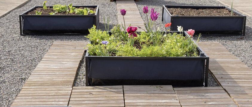 Carr&eacute;s potagers fleuris dans un espace urbain am&eacute;nag&eacute;	