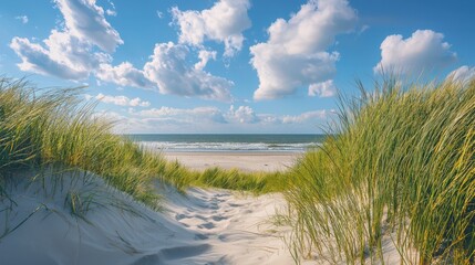 Sandy path through grassy dunes to the ocean