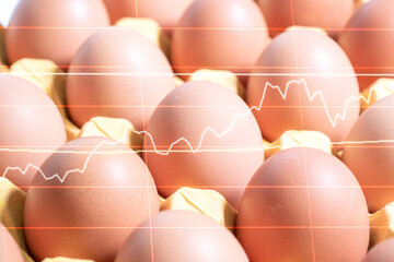 Egg prices are spiking,Egg Prices Are Rising