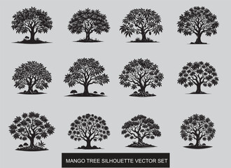  Mango tree vector illustration design.