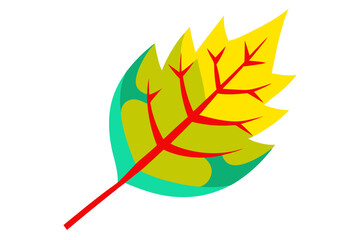 Worn Leaf Texture with Tears and Holes Vector Illustration for Graphic Use
