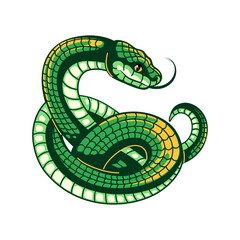 Green snake. Curve cartoon python or anaconda with scaly skin. Cute cunning asp vector illustration for any serpent design.