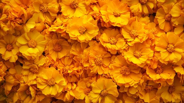Haldi ceremony marigold flower decoration background 