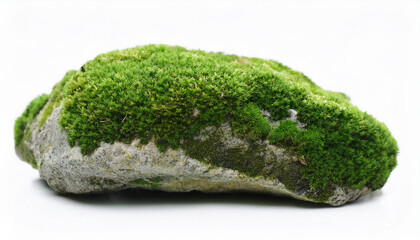 Rock with green moss isolated on white background. Elements for decorate garden, park, landscape