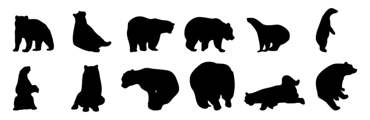 vector bear silhouette set 