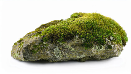 Rock with green moss isolated on white background. Elements for decorate garden, park, landscape