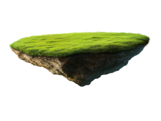 a grass floating on a piece of land