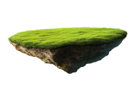 a grass floating on a piece of land
