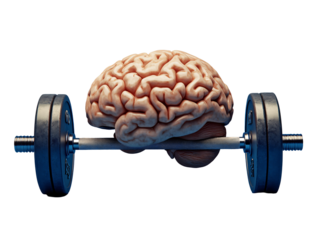 a brain lifting weights