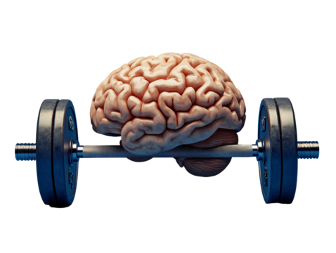 a brain lifting weights