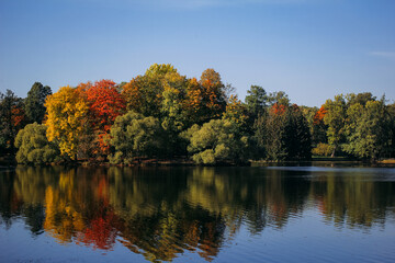 Autumn bushes in vibrant yellow, orange, and red hues line the water edge, their colorful leaves...