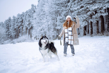 A young woman walks with her dog in the winter forest. Husky dog. Pet owner enjoys walking her dog outdoors. Friendship concept, pets.