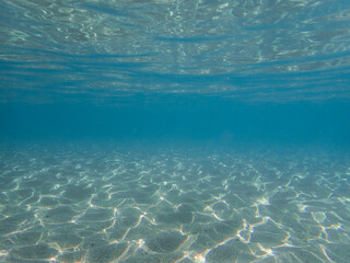 The sun shines through water, casting mottled light and shadow, intertwined with countless bubbles underwater, like a dance of light. Various aquatic plants sway gently in water in Mediterranean sea.