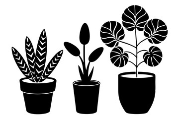 Different Indoor Plants | vector silhouette illustration on white background