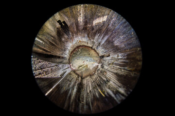 Wnętrze mofety w Złockiem. © Jacek