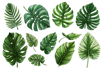Tropical Leaves Illustration: Lush Green Foliage for Nature Designs