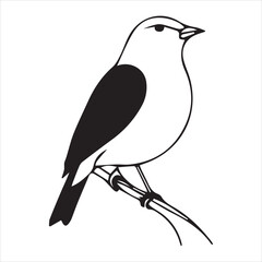 silhouettes of bird Vector illustration silhouette image icon