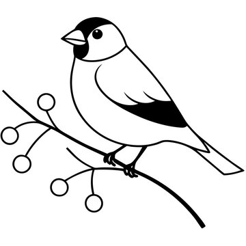 recommend clip art: Adorable Goldfinch Perched on Snowy Berry Delightful Vector Illustration of Nature's Charm
                    