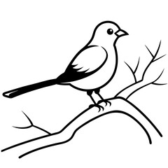 Beautiful Bird on a Branch with Delicate Layers Vector Illustration for Nature Lovers
