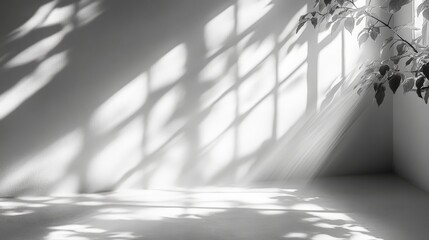 white wall texture with natural light