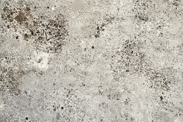 Fototapeta premium Textured Concrete Surface