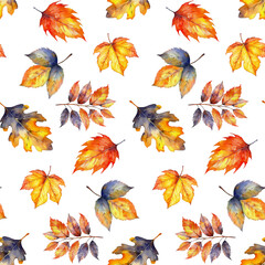 Obraz premium Watercolor Autumn Leaves Seamless Pattern
