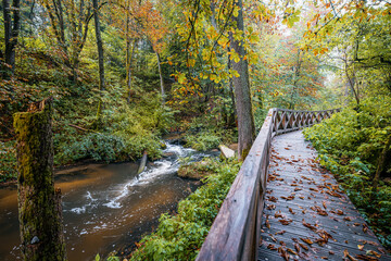 A magical forest moments after the rain. Autumn colors of trees. A footbridge along the river. A dense, wild, beautiful forest. Czartowe Pole Nature Reserve, Roztocze, Poland