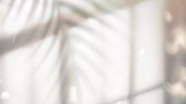 Palm Tree Shadow Swaying on Elegance Blind Silhouette Wall Background