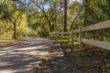 The white picket fence is the barrier on the trail lined with autumn colored trees and a blue sky. Lettuce Lake Park. The white picket fence is the barrier on the trail lined with autumn colored trees