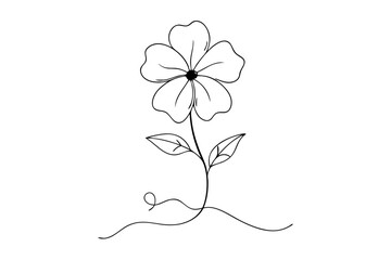 Elegant Line Drawing of Phlox Flower | Vector Line Art Illustration