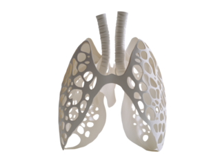 Paper cutout of lungs with holes representing lung damage, isolated on a white background.   PNG transparent.