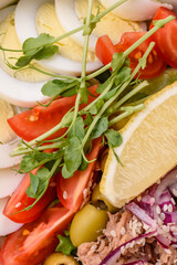 Salad with tuna pieces, boiled egg, cherry tomatoes, lettuce
