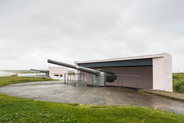 Fototapeta premium Replica Mk 7 6