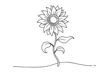 Elegant Sunflower Line Drawing | Vector Line Art Illustration