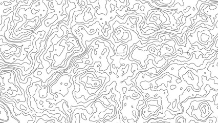 Topographic map background. Geographic abstract patterns grid