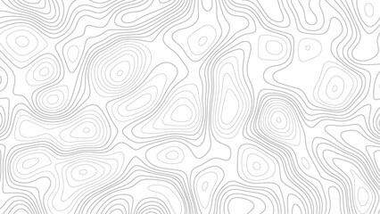 Topographic map background