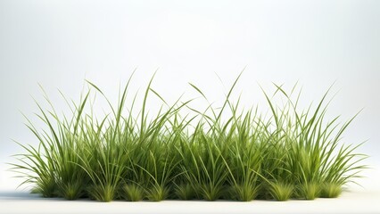 A lush patch of green grass against a minimalistic background.