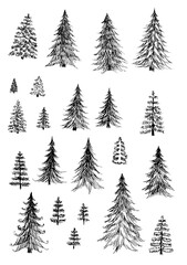 Fototapeta premium Set of Christmas trees, on white background