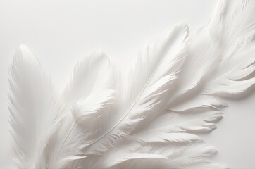 Obraz premium Abstract White Background, White Texture, White Image, White Color, White Canvas