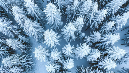 Aerial View of a Snow-Covered Winter Forest with Pine Trees. Concept of Winter Wonderland, Nature s Beauty, Serene Landscapes