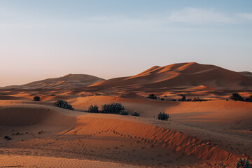 Sunrise over the sand dunes of Merzouga, Morocco.