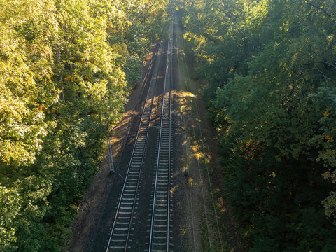 Aerial view of a double train track through the leafy forest in the early morning.