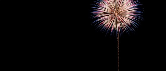 A firework is lit up in the dark sky